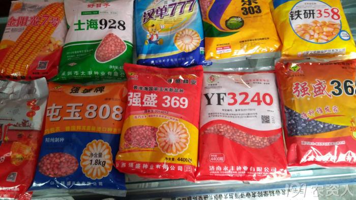 玉米花生种植高产技术,玉米高产高效种植技术