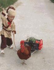 谁的语文好来读读试试原版,如果你语文好就来读读试试