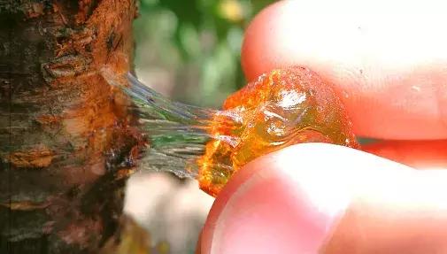 补充胶原蛋白的甜汤,补胶原蛋白甜汤