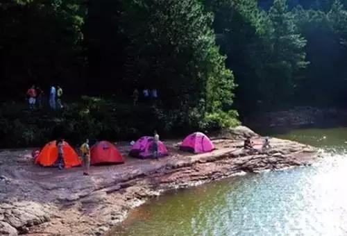 昆明周边适合露营的森林,昆明附近露营风景好