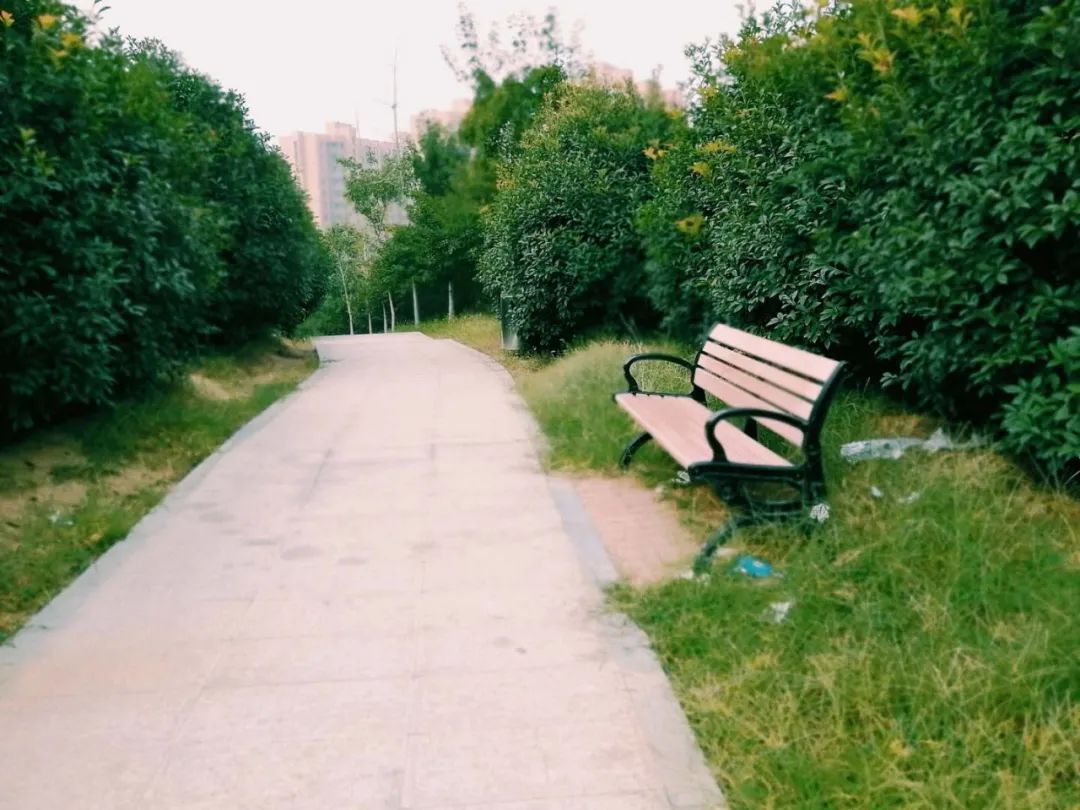 优微推荐｜致萌新，这些农大最美的地方，你发现了吗