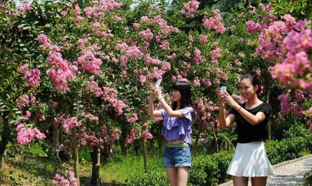 中国“林海”，你可能还不知道，这是一个低调很久了高颜值县城！