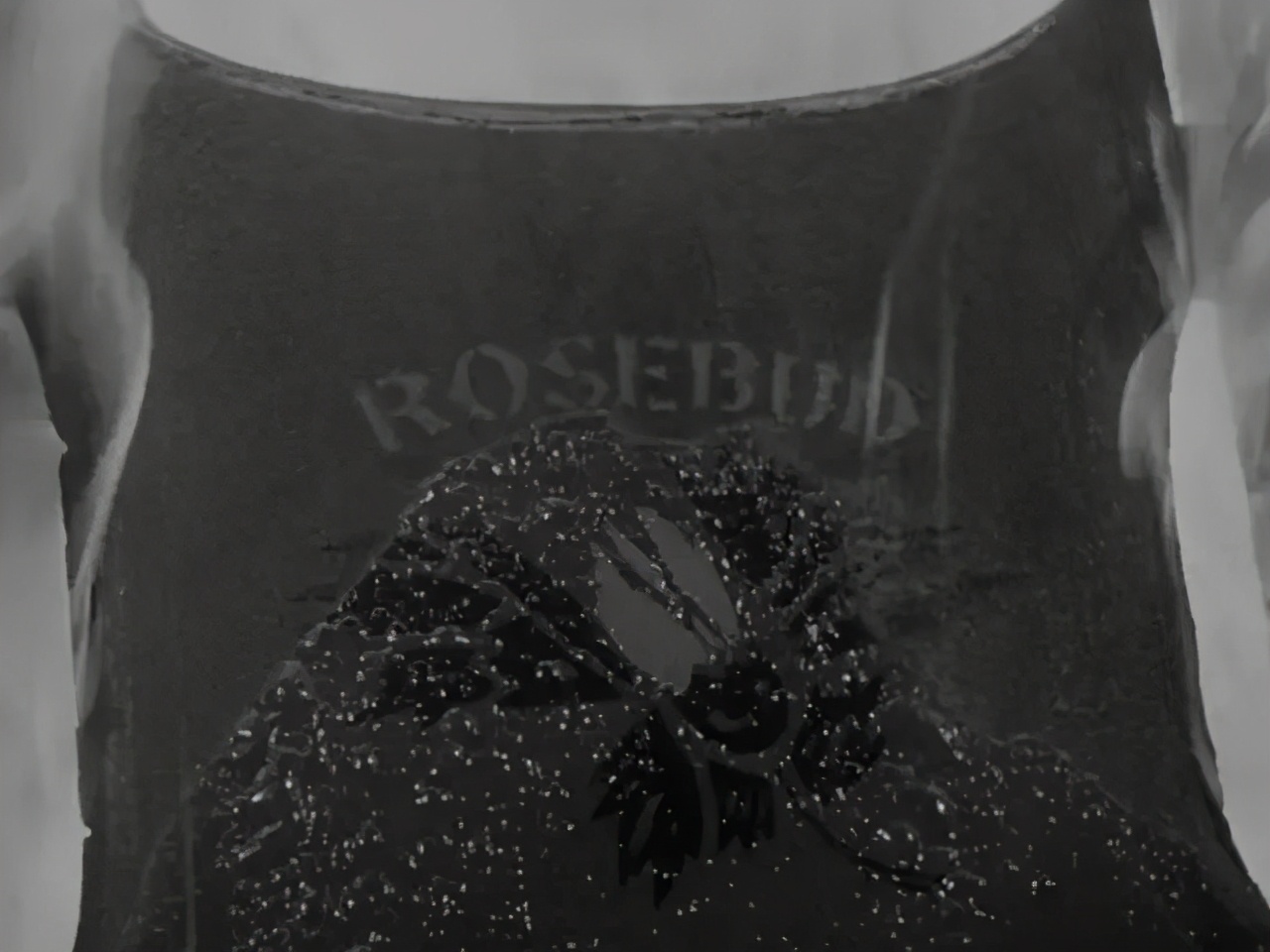 凯恩是英格兰的骄傲吗,凯恩和公民