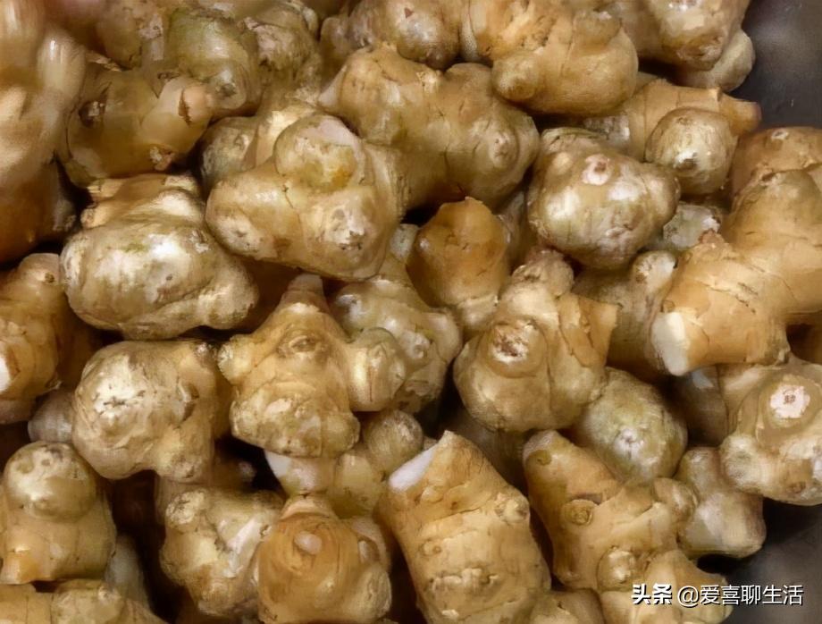 洋姜直接用盐腌制吗,洋姜腌制不脆发软是坏了吗