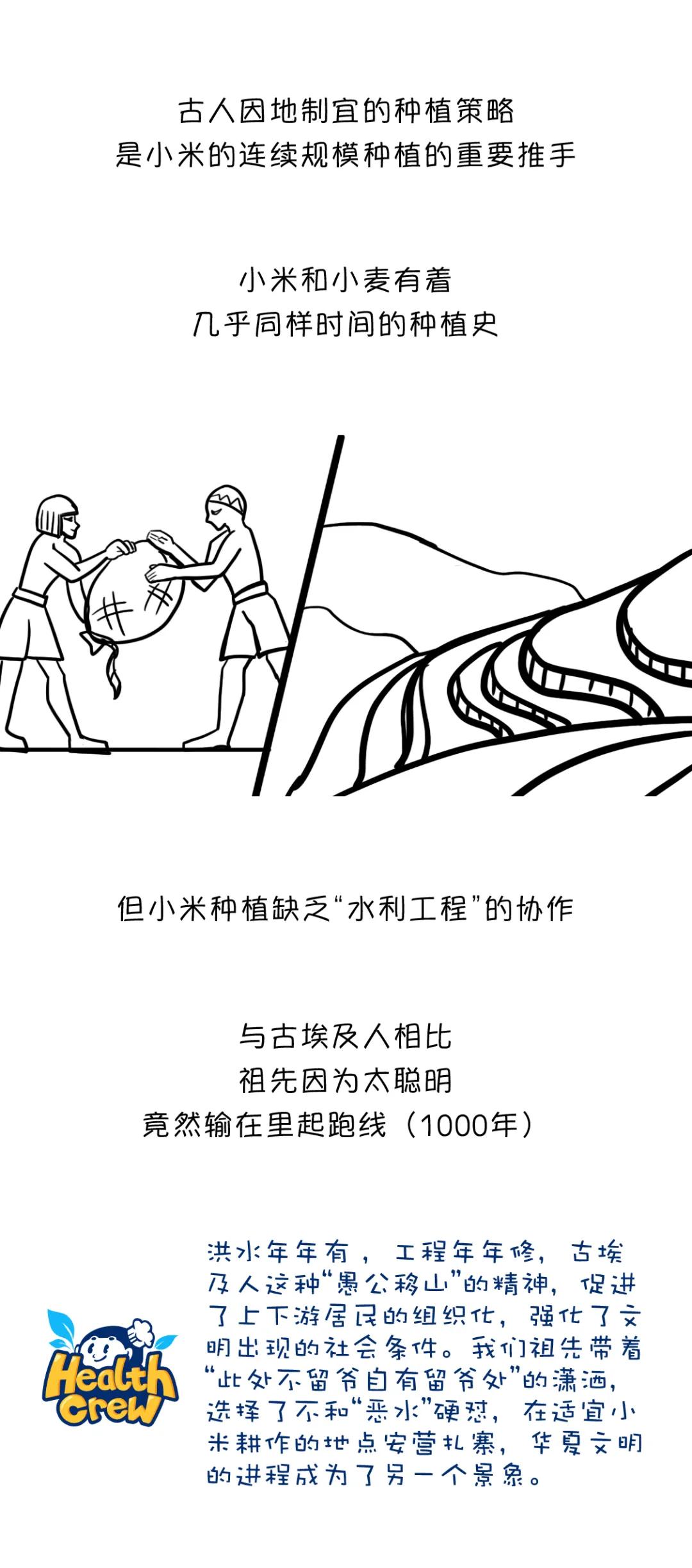 漫画食物简史有阅读价值吗,漫画食物简史漫画书