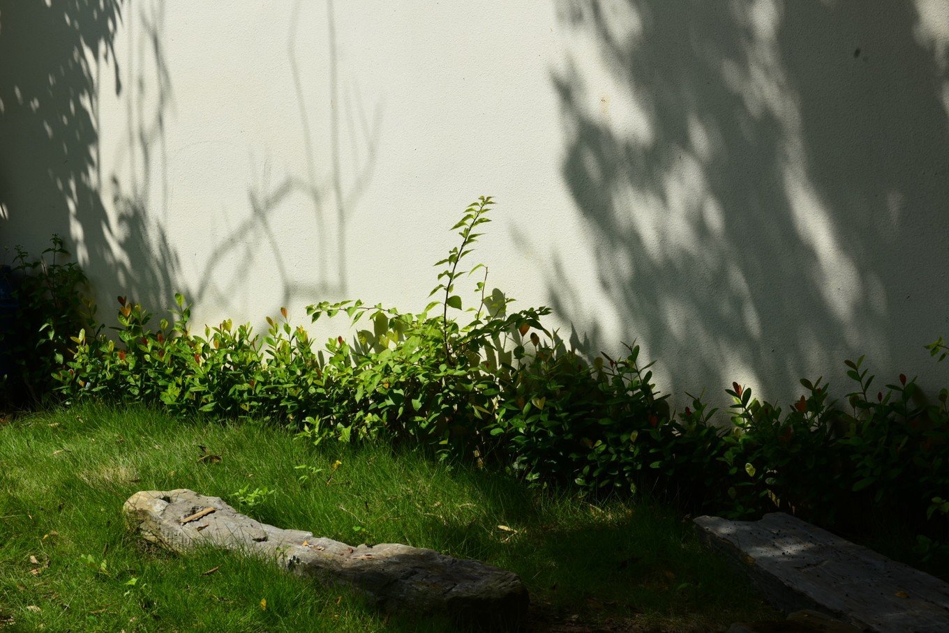 从北海坐游轮去海南海上观光,北海国际邮轮到越南