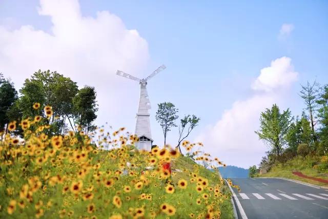 李子柒令人向往的世外桃源生活,李子柒记录的简单淳朴的田园生活