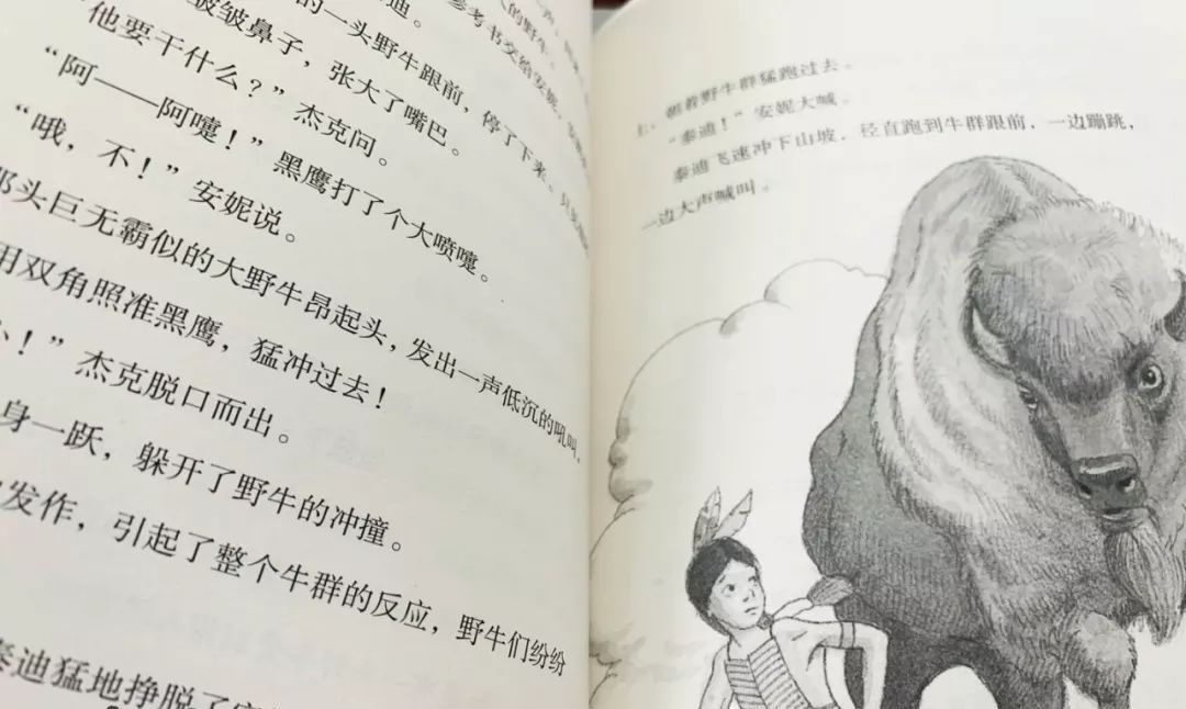 神奇树屋奥巴马,奥巴马书籍