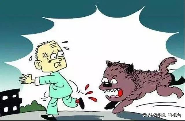 女子报警说家门口有恶犬,女子报警家门口有恶犬