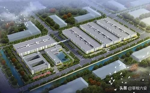 安徽六安有没有赚钱项目,六安新型创业项目