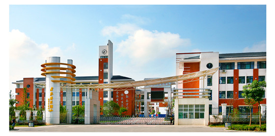 全国小学100强排行榜合肥,安徽全国500强小学