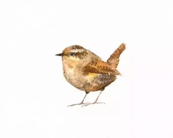 水彩大神之作,国外大师水彩值得一看