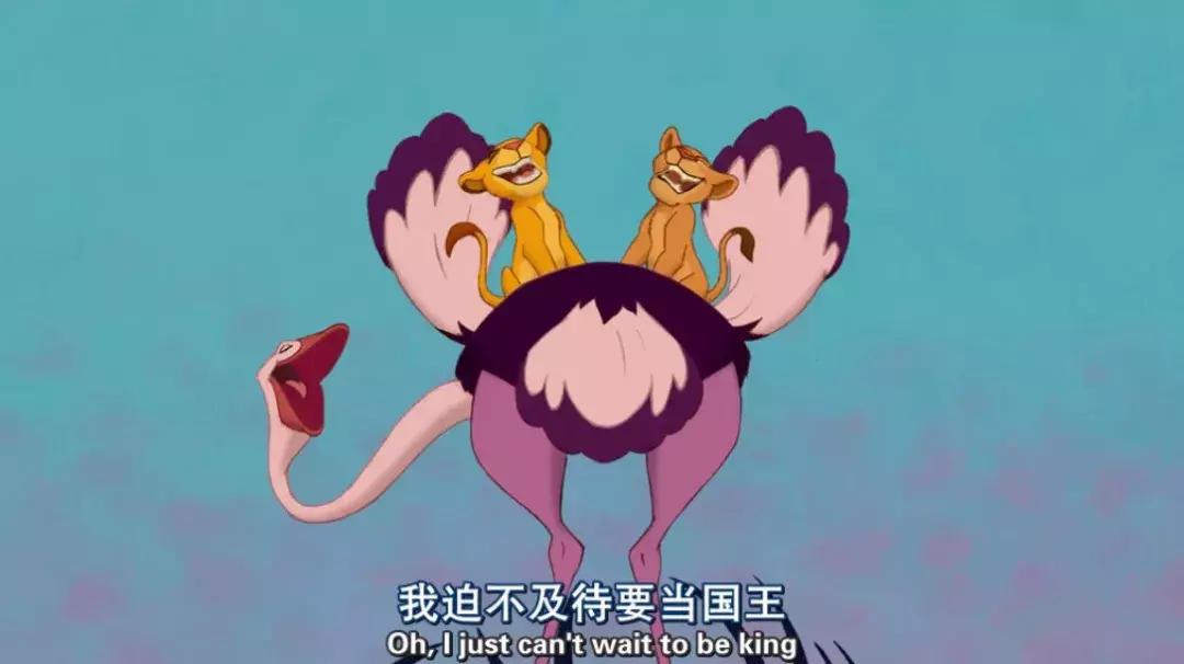 真实版的狮子王,现实版狮子王比想象的更残酷