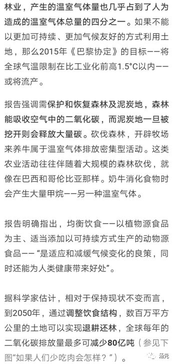 别·浪|No.6中国英国买菜大作战——逛逛英国“菜市场”