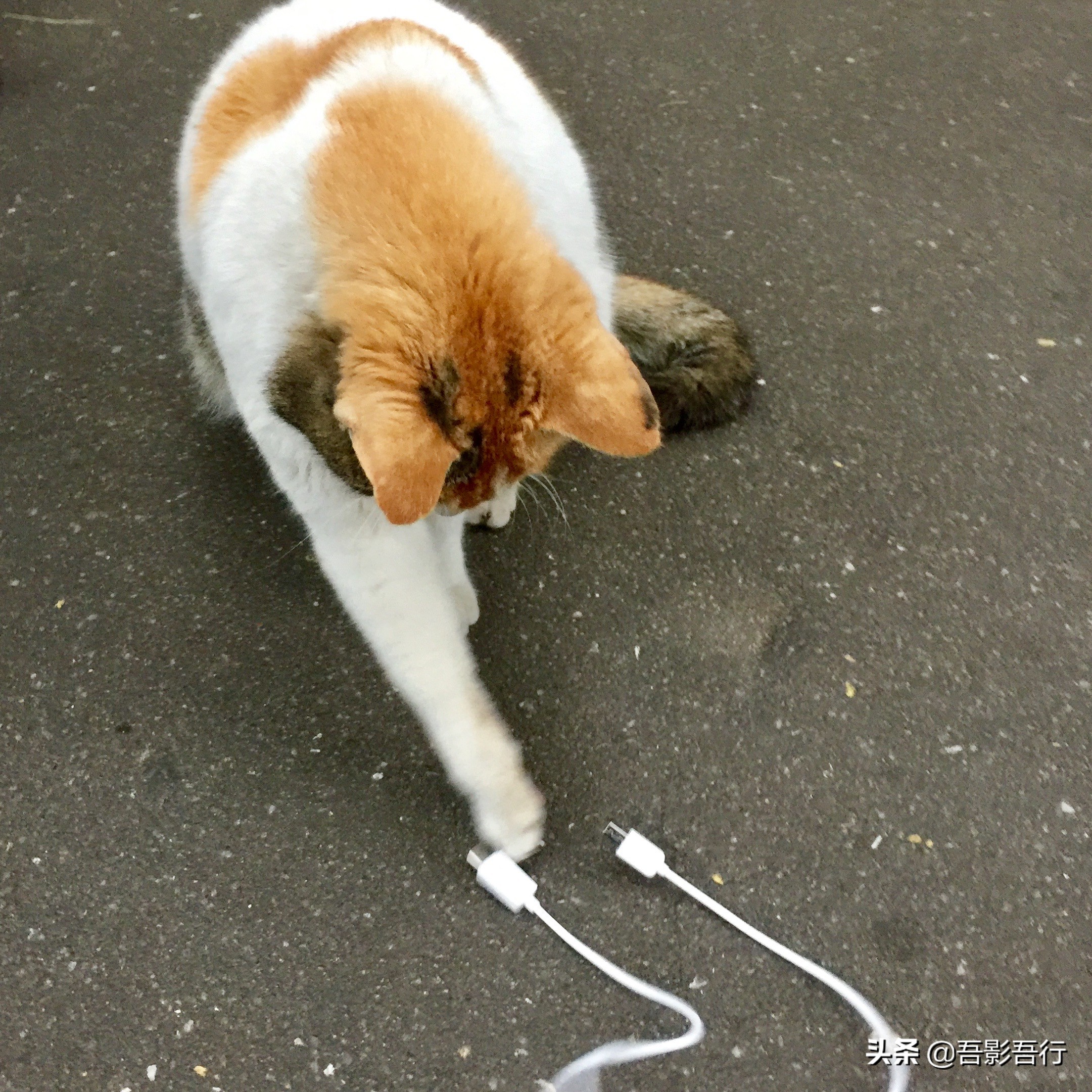 厦门鼓浪屿旅行打卡照片,厦门鼓浪屿旅游美食