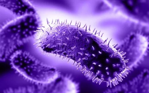 怀孕感染单纯疱疹二型孩子能要吗,单纯疱疹病毒1型2型对怀孕的影响