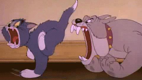 被猫抓了咬伤一定要打针吗,被猫抓了出血了要打狂犬病疫苗吗