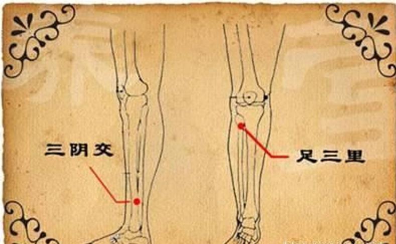 专家为你解读卵巢早衰的针灸疗法