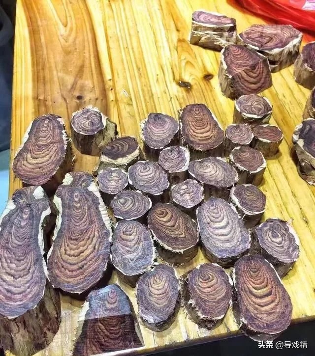 男子山上砍拐杖高价卖,男子花千元买根木头