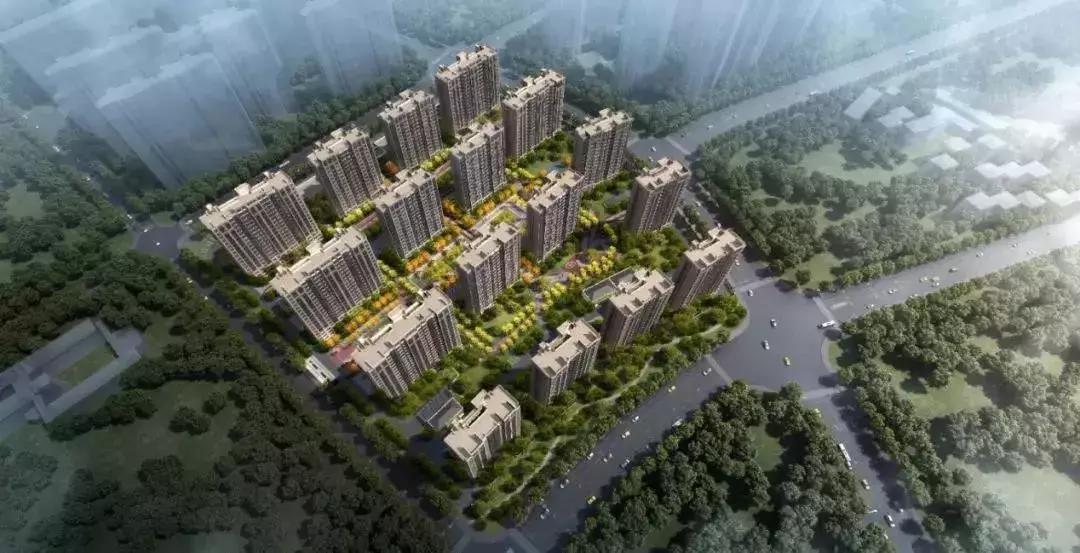 全两卫户型!重回快速道的这座新城,终于迎来大爆款