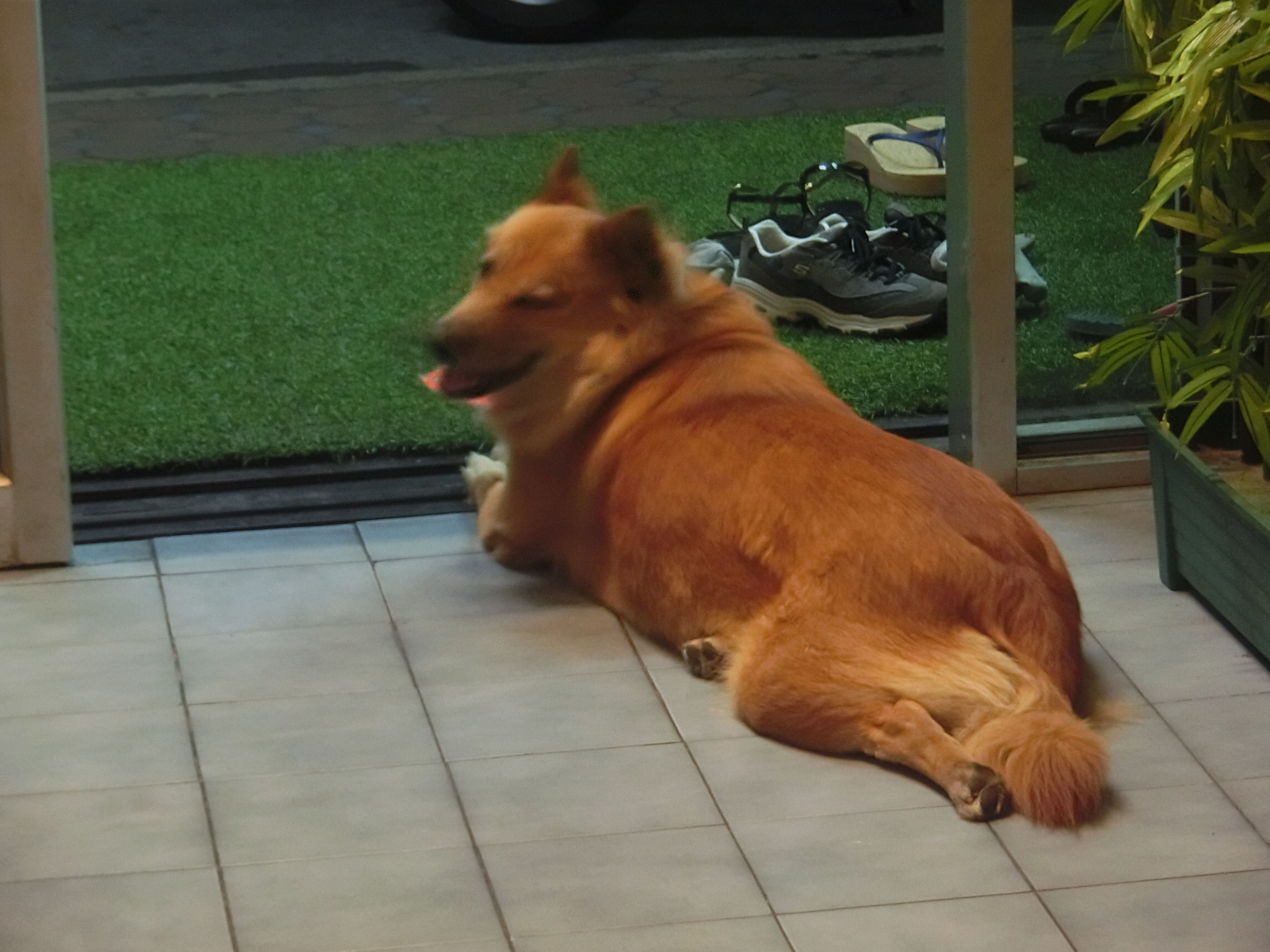 泰国清迈一座古都的历史,泰国清迈旅游攻略大全