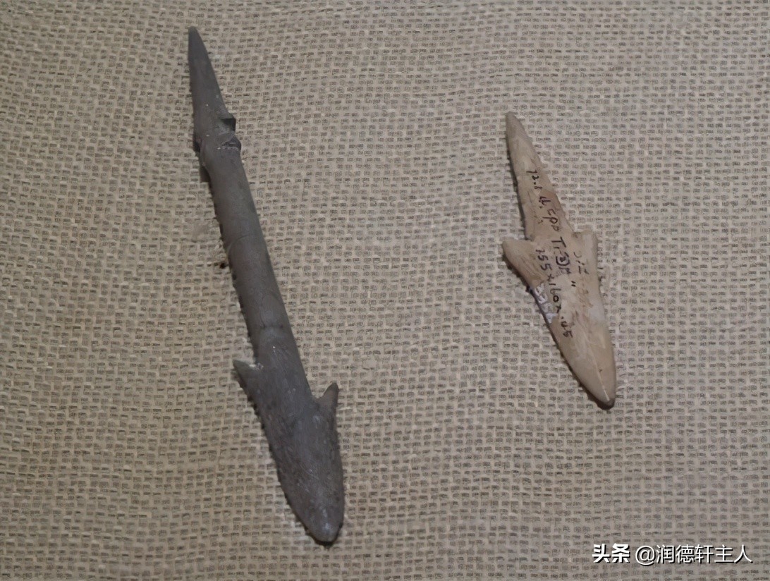 越接近原始越能领悟生存的真谛,越原始的基因越强大