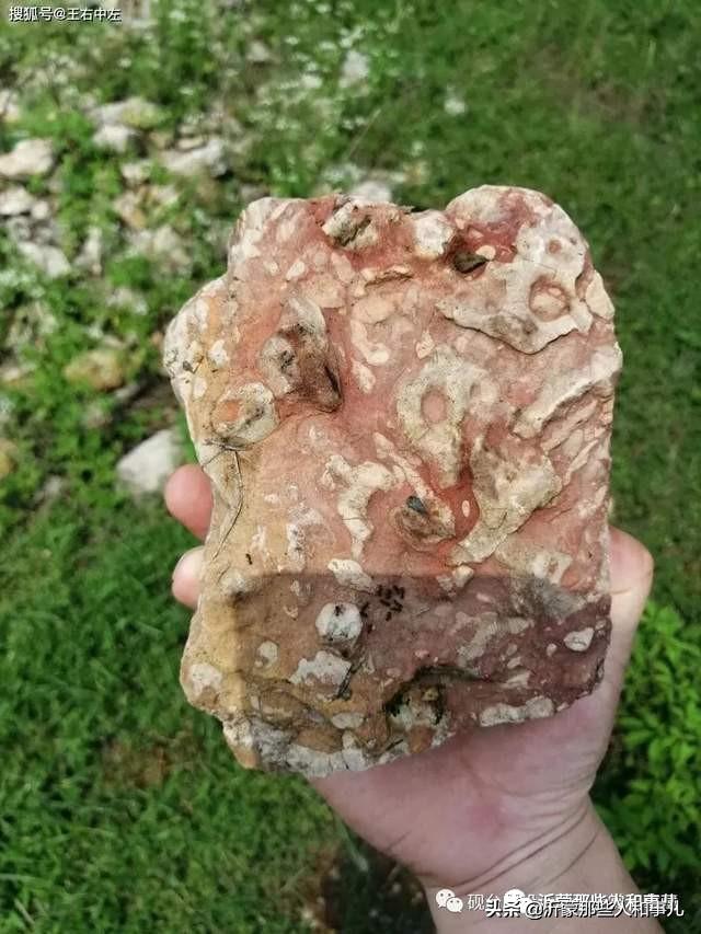 琅琊紫金砚米芾,米芾紫金砚从哪里来