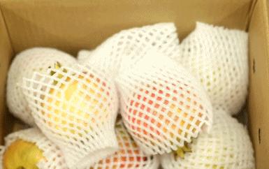 雅诗兰黛软籽石榴怎么样,雅诗兰黛突尼斯软籽石榴