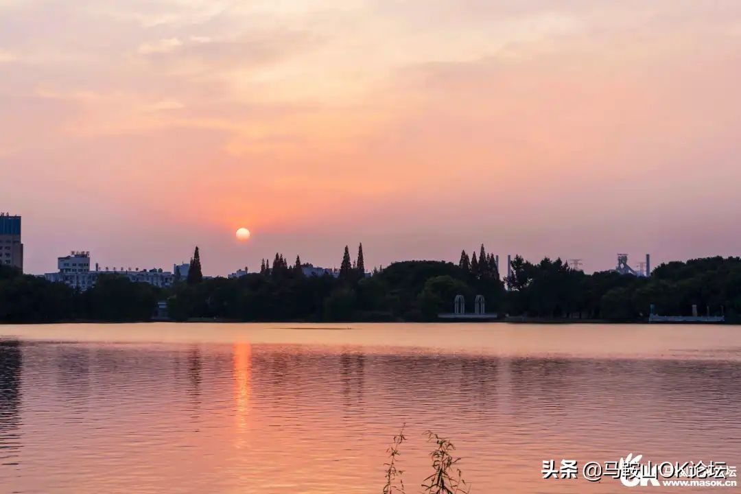 唰，就绿了！马鞍山夏天的n+1种样子