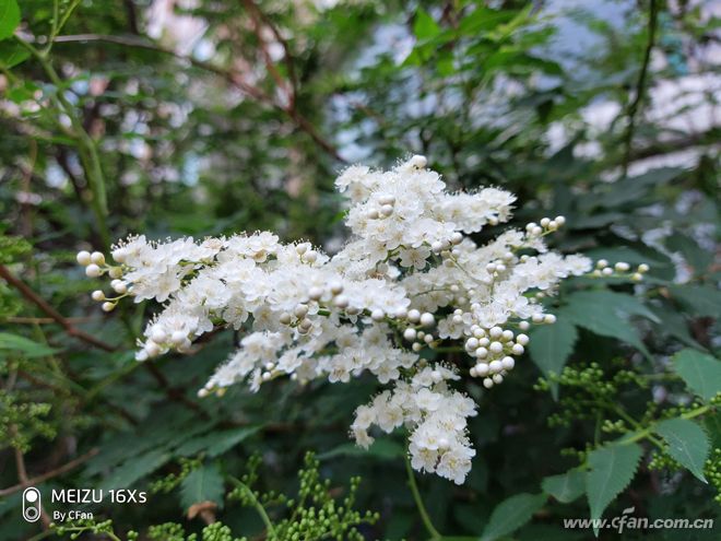 魅族16xs深度评测,魅族16x和16xs评测对比