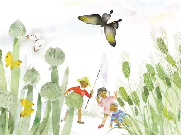 正向教育|从问题女孩变成日本宝岛级人物,小豆豆到底经历了什么