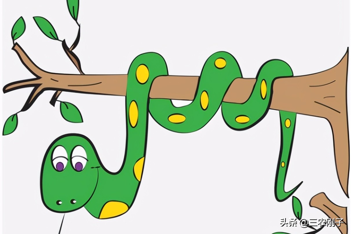 不怕蛇过门就怕香椿高过房啥意思,不怕蛇进门就怕香椿树过高啥意思