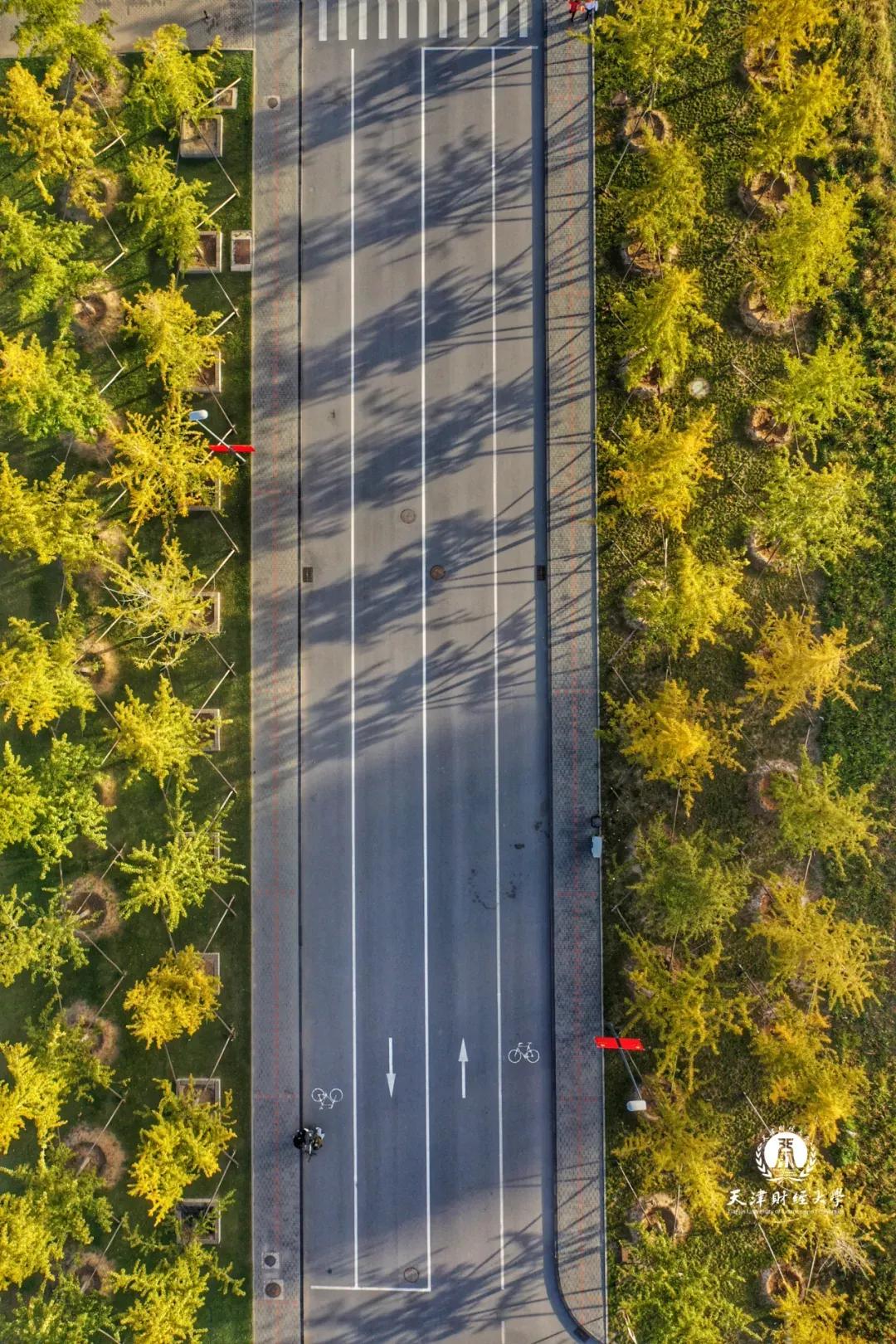 天津普通本科的大学,天津普通高校多少所大学
