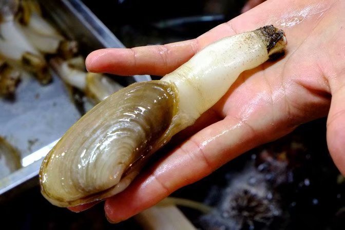 三亚海景旅行攻略,三亚椰风海岸美食攻略