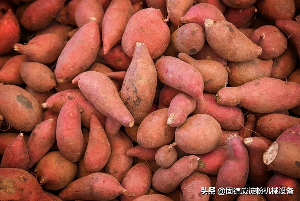 红薯淀粉加工的制作过程,红薯淀粉块状如何加工成粉末