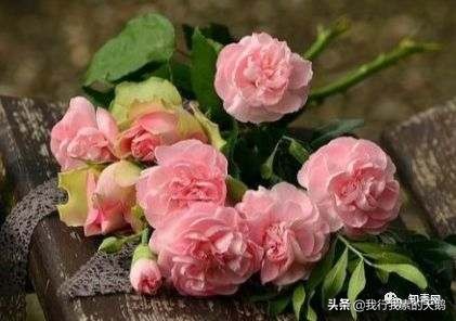 人民日报专家集体辟谣原文,专家辟谣的谣言