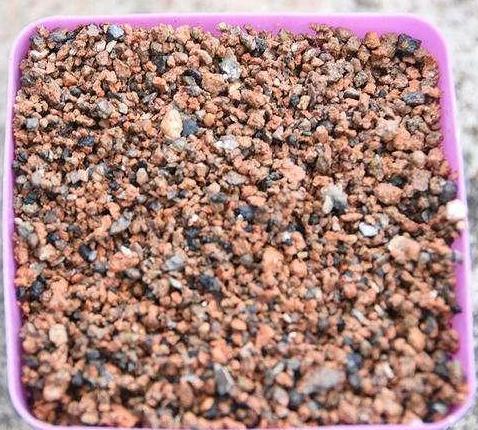 通用营养土养花专用土,蜂窝煤养花怎么处理视频