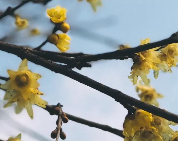 一首经典古诗词书法作品,十三言诗13首书法