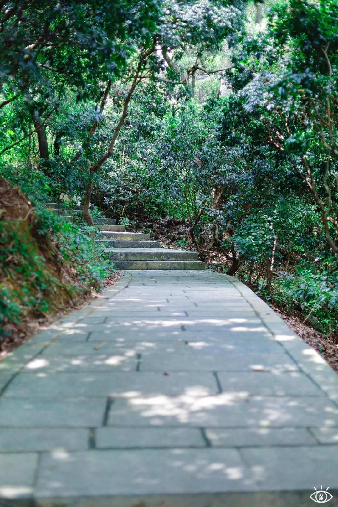 深圳宝藏公园风景图片,深圳宝藏自然游乐区