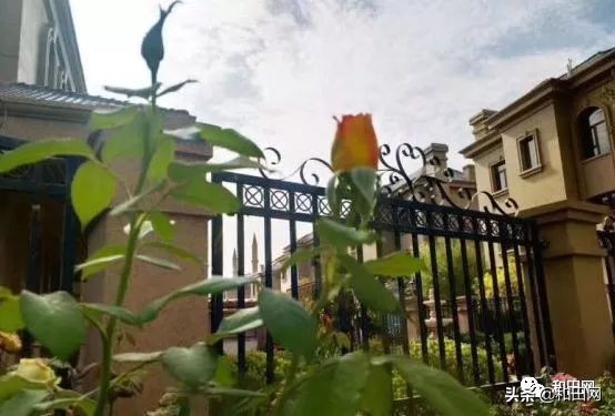 和田欣明南国城美食,和田欣明南国城音乐餐吧联系方式