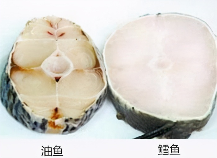 油鱼为何被多国禁止食用,吃了油鱼为什么屁股会流油很臭