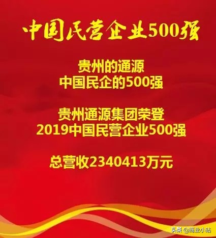 贵州500强通源集团,贵州民营企业第一名