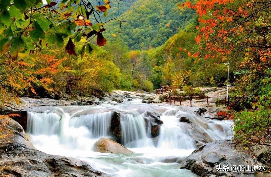 弘琴,弘琴的歌曲大全