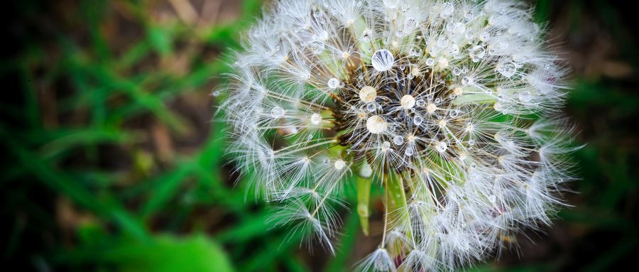 不生病平时能吃的消炎药,天然的消炎药有什么