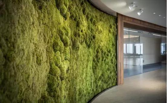 「首发」深圳湾第一高楼!400米“春笋”曝光,这办公室颜值……