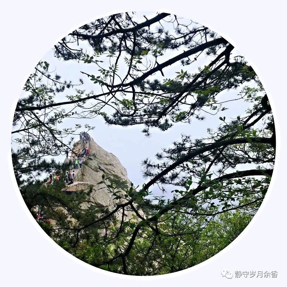 情满龟峰·诗涌花海