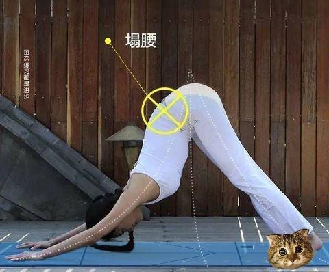 瑜伽入门动作下犬式的慢动作分解,瑜伽单腿下犬式怎么做到不翻胯