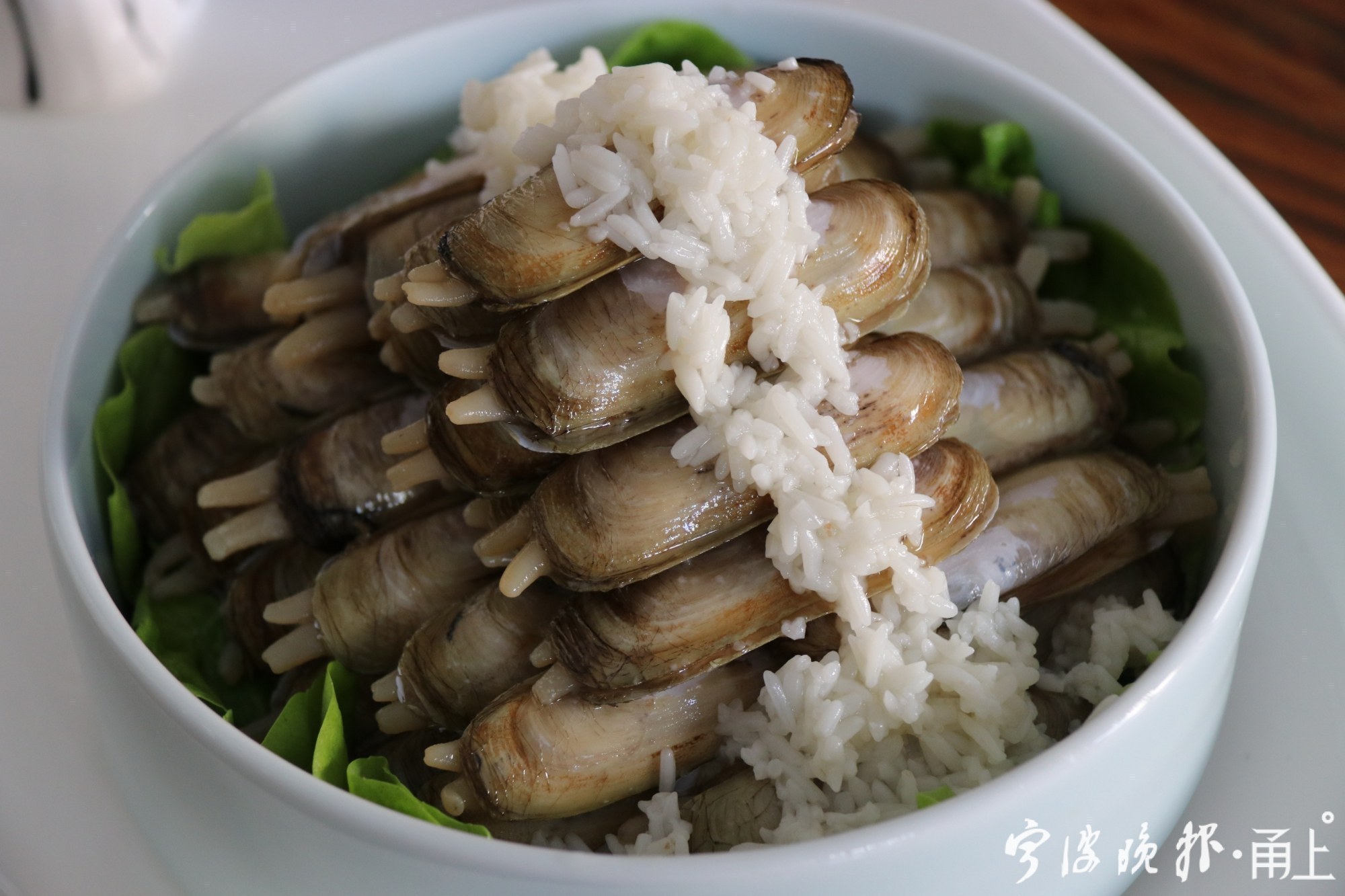 陈晓卿深夜造访宁波，来跟这种小海鲜说再见！传说它是龟兔赛跑后的爱情结晶……