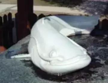 我的第二故乡山东,我的第二故乡和平县