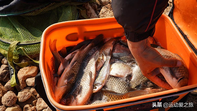 野钓鲫鱼双钩在水下的最佳状态,钓鲫鱼双钩在水底什么状态最好